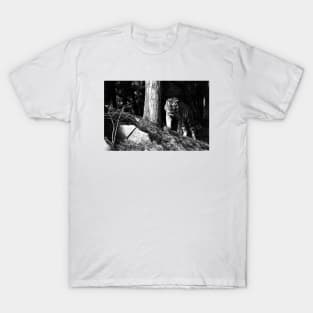 Year of the tiger 2022/6 /  Swiss Artwork Photography T-Shirt